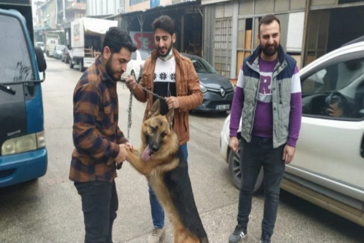 Bursa'da köpeği çaldığı sanılıyordu ama gerçek çok başka çıktı!