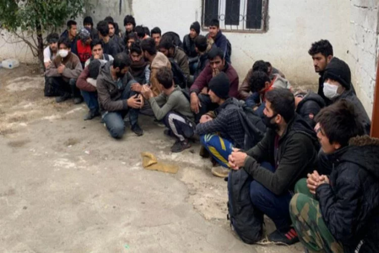 Van'da operasyon! 37 kaçak göçmen yakalandı