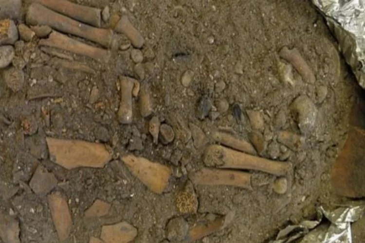 8 bin yıllık çocuk mezarı keşfedildi