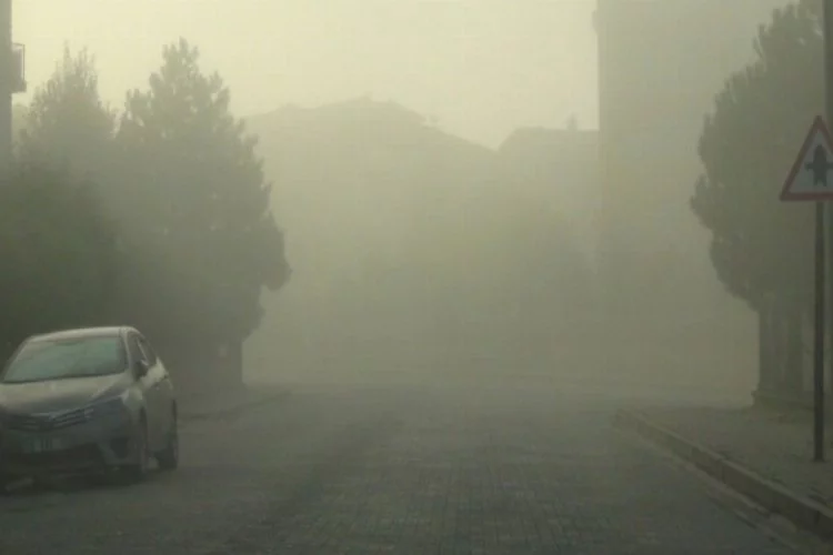 Bursa'da sis zor anlar yaşattı!
