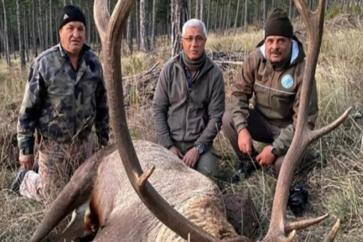 MHP'li eski Belediye Başkanı Mehmet Kula'nın kızıl geyik avı tepki çekti