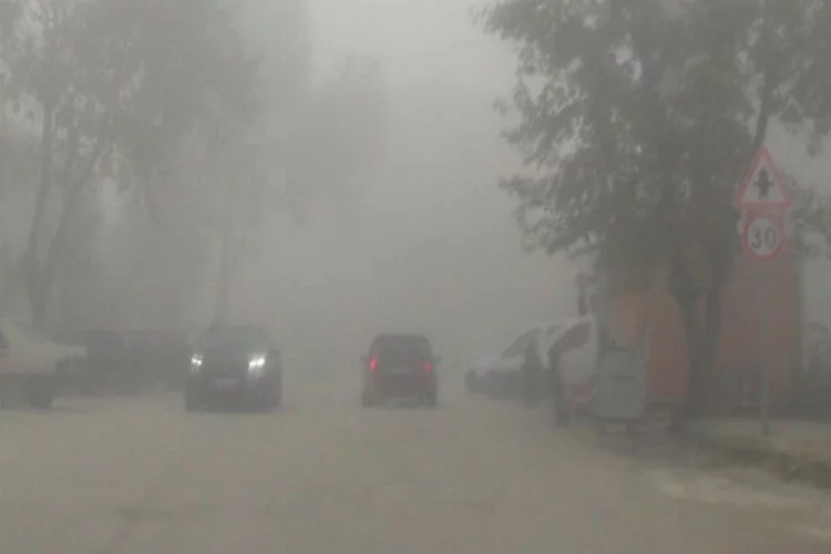 Bursa'da sis zor anlar yaşattı!