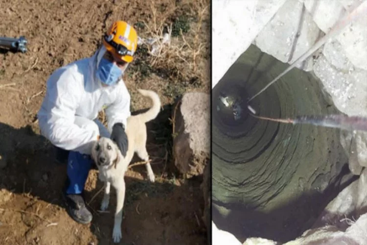 4 gündür su kuyusunda mahsur kalan köpek kurtarıldı