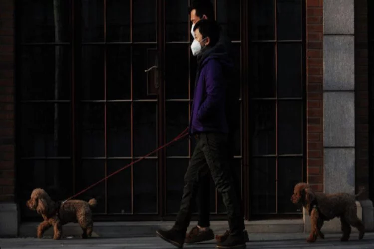 Çin kasabasında köpek gezdirme yasağı: Üç kez ihlal eden...