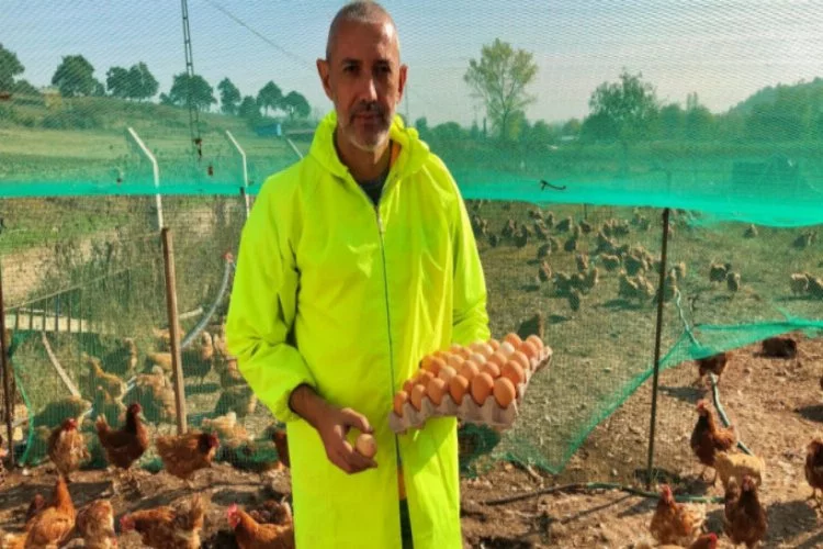 Bursa'da gezen tavuk yumurtalarına ilgi büyük