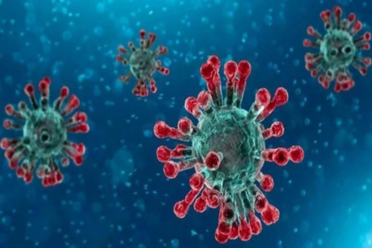 Dünya genelinde koronavirüsten iyileşinlerin sayısı 40 milyonu aştı!