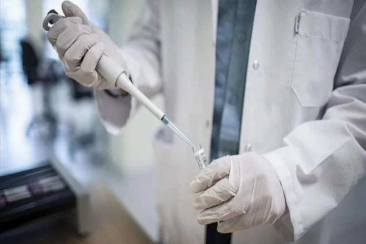 Türkiye'nin koronavirüs aşısında yeni gelişme! Yan etki görülmedi