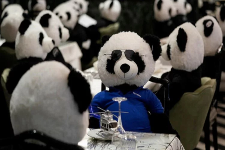 Restoranın sahibi kısıtlamaları 'panda' ile protesto etti!