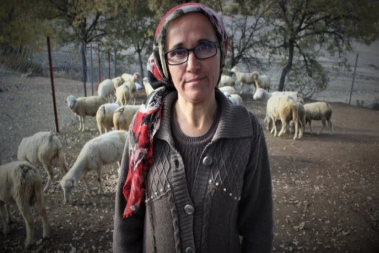 Bursalı genç kadın hibe ile aldığı 37 koyunu, 150'ye çıkardı!