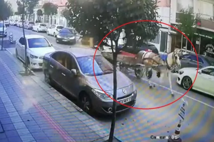 Bursa'da trafikte başıboş at arabası kamerada!