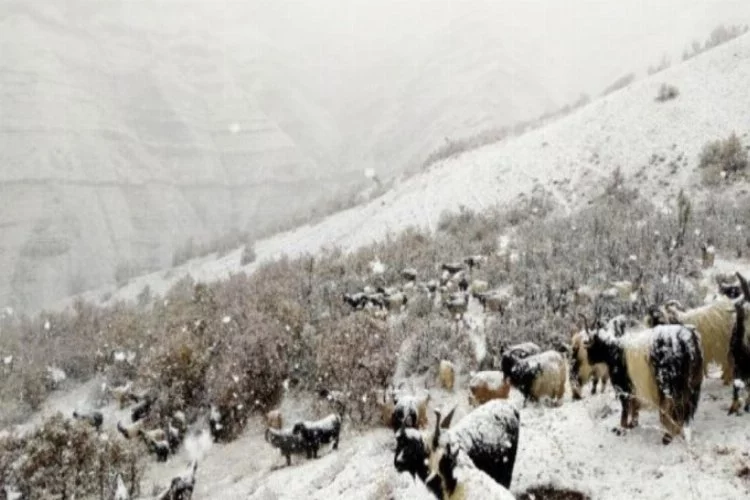 Kar yağınca çoban ve sürüsü mahsur kaldı