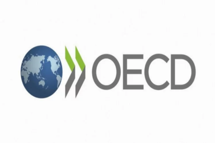 OECD: Küresel ekonomi için ışık göründü