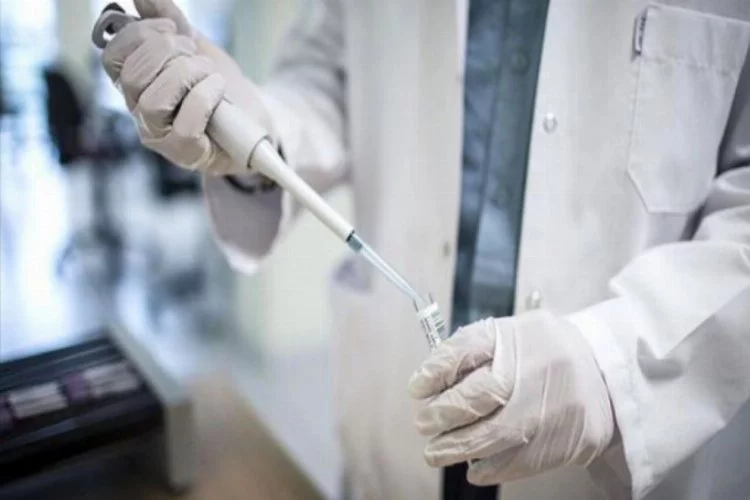 Türk bilim insanlarından koronavirüse karşı etkili yeni keşif!