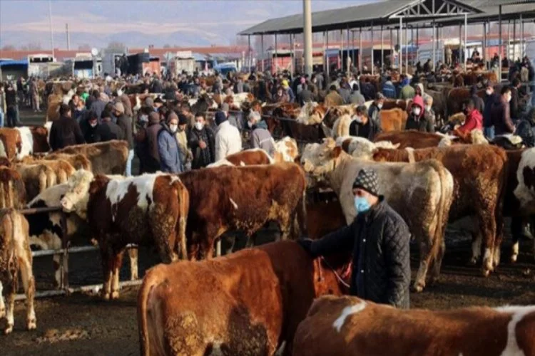 Türkiye'nin 'en büyük' canlı hayvan pazarı perşembe günleri kurulacak