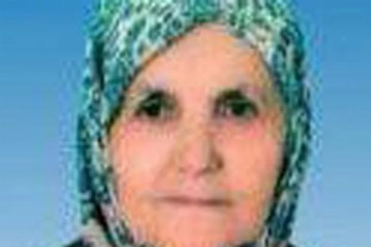 Bursa'da 3 gündür kayıp olan yaşlı kadın kırsalda bulundu