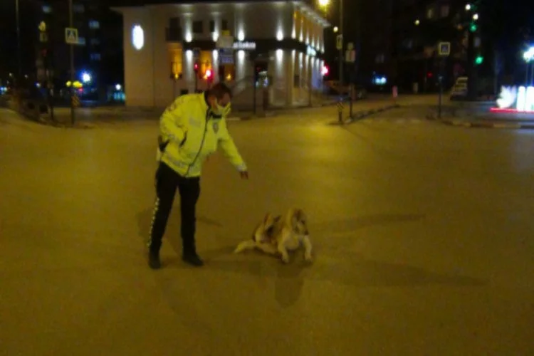 Bursa'da polis memuruyla köpeğin yürek ısıtan görüntüsü