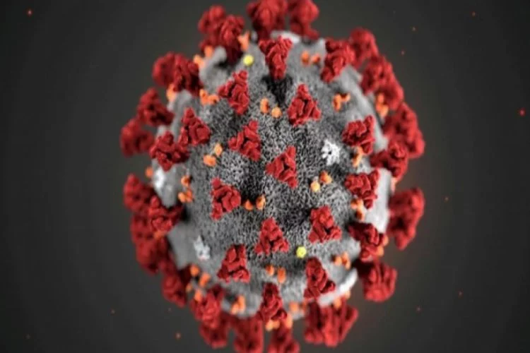 Yeni bir sorun: Uzayan koronavirüs