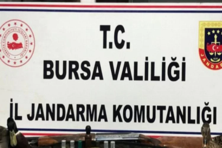 Bursa'da kaçak avcılar, jandarma ekiplerine yakalandı