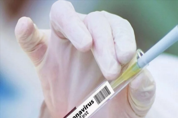 Pfizer/BionTech ve Moderna'dan korona aşılara mutasyon testi