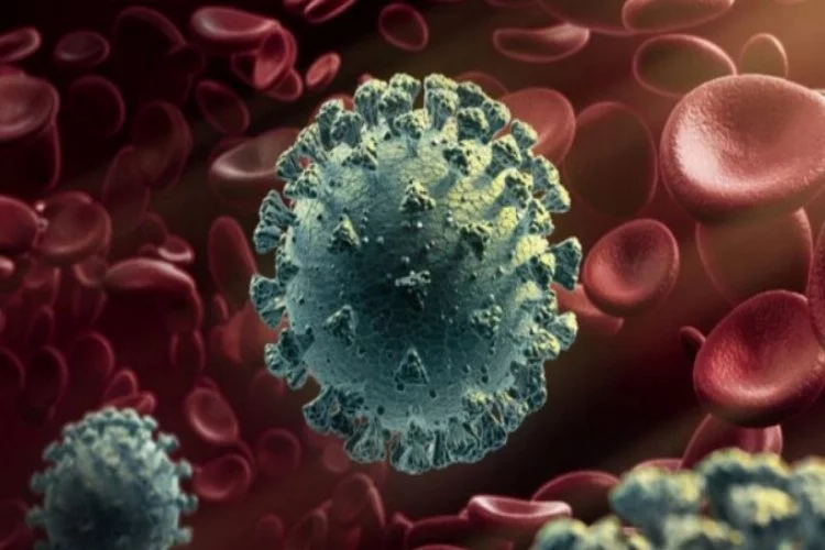 Singapur'da mutasyona uğramış koronavirüs paniği