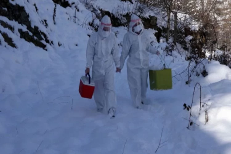 Filyasyon ekipleri karda da virüsün izini sürüyor