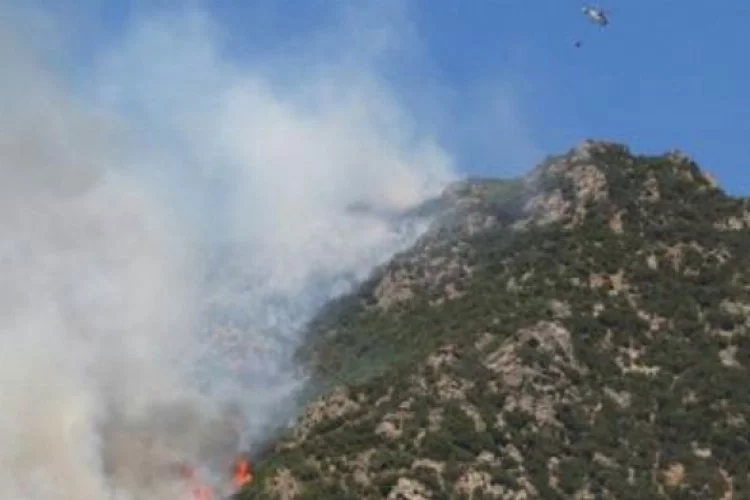 Kapaklı'daki yangına Bursa'dan müdahale
