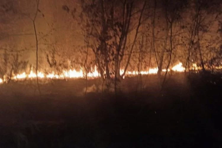 Adil Öksüz'ün çanta gömdüğü iddia edilen bölgede yangını