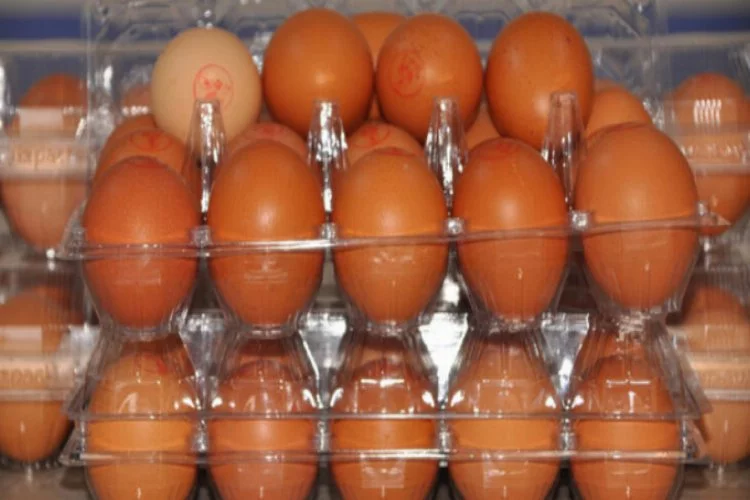 Yumurtaya talep yüzde 100 arttı
