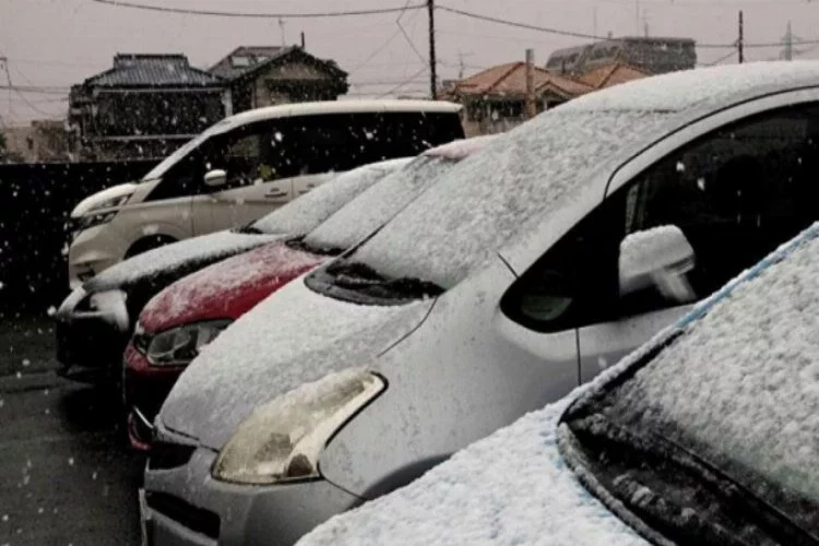 Japonya'da kar felaketi! Ölenlerin sayısı 38'e çıktı