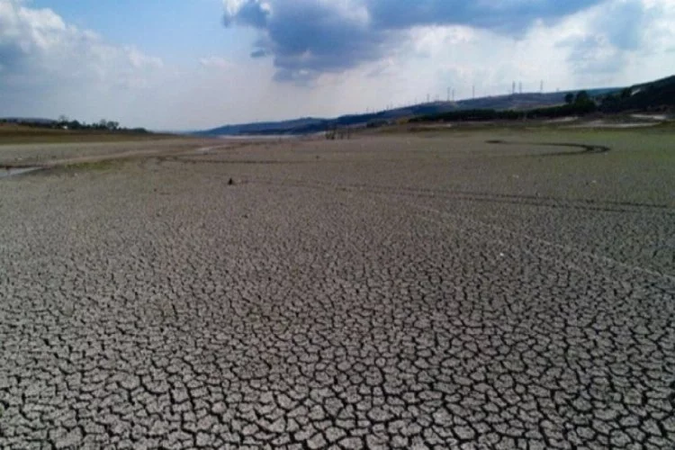 "2100'de her 12 kişiden biri su kıtlığı yaşayacak"