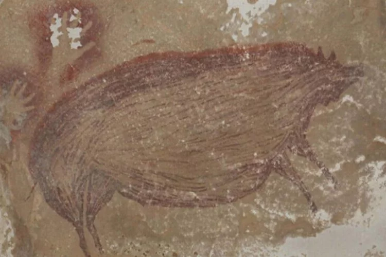 Dünyanın en eski hayvan resmi keşfedildi!