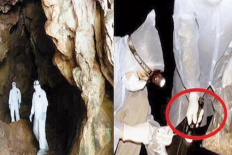 Koronavirüslü yarasalarla dolu mağarada ısırılmışlar