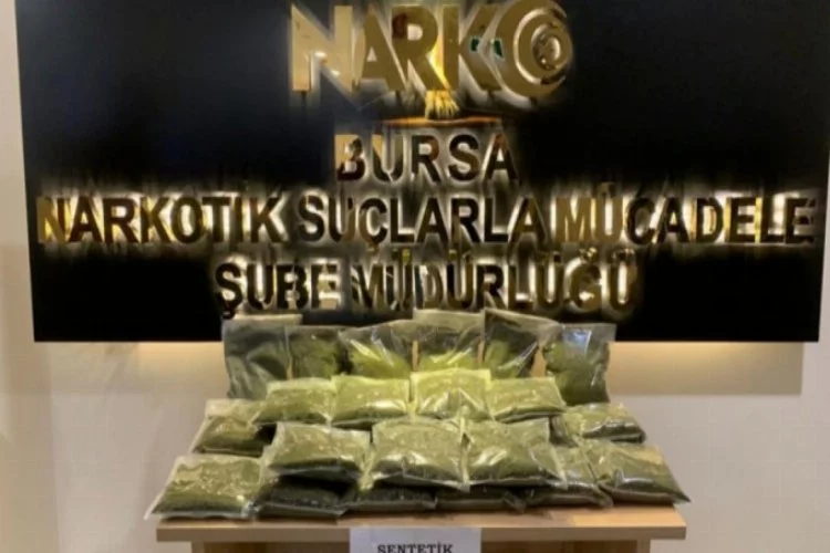 Bursa'da 13 kilogram bonzai ele geçirilen uyuşturucu taciri tutuklandı!