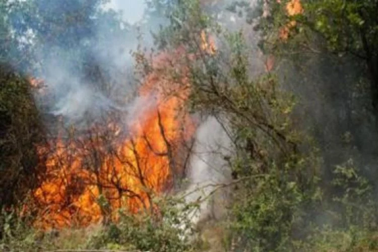 Korkutan yangına Bursa'dan müdahale