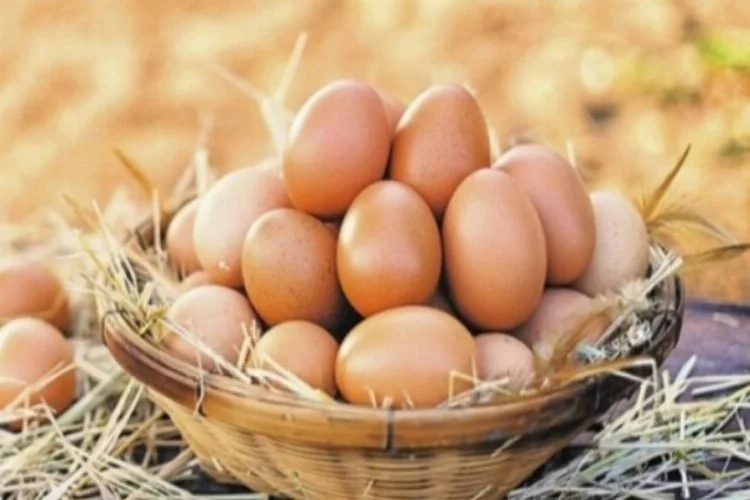 Yumurta üretimi düşünce fiyatları arttı
