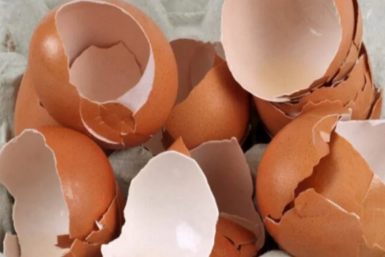 Yumurta kabuklarını sakın çöpe atmayın! Hazine değerinde...