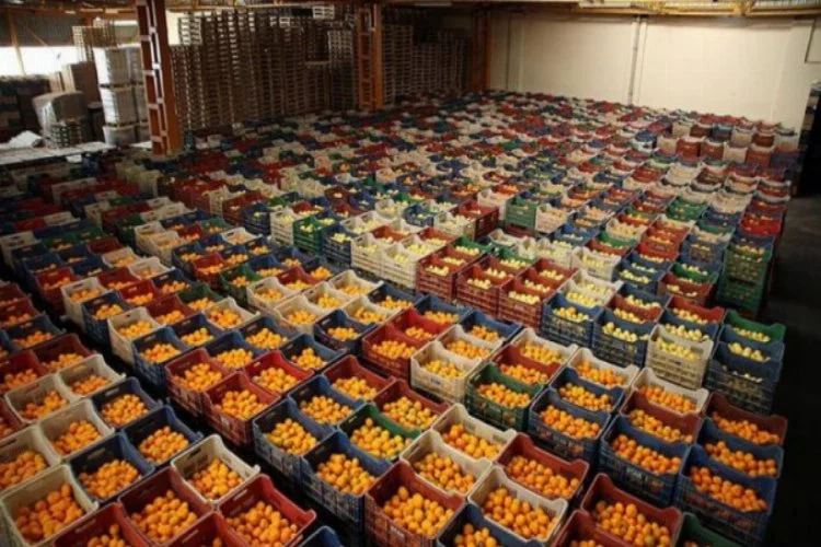 Türkiye'nin yaş meyve sebze ihracatına 5 ürün damga vurdu