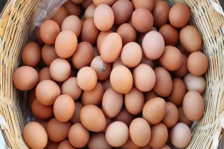 Afyonkarahisar'dan 32,6 milyon dolarlık yumurta ihracı