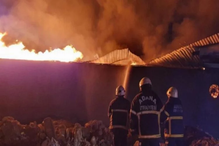 Adana'da korkutan yangın! Evler tahliye edildi