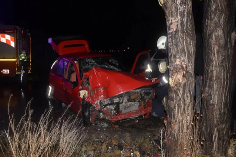 Ağaca çarpan otomobildeki 2 kişi yaralandı