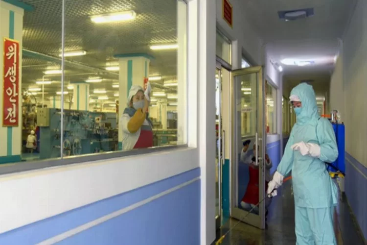 Kuzey Kore kendi koronavirüs aşısını üretti