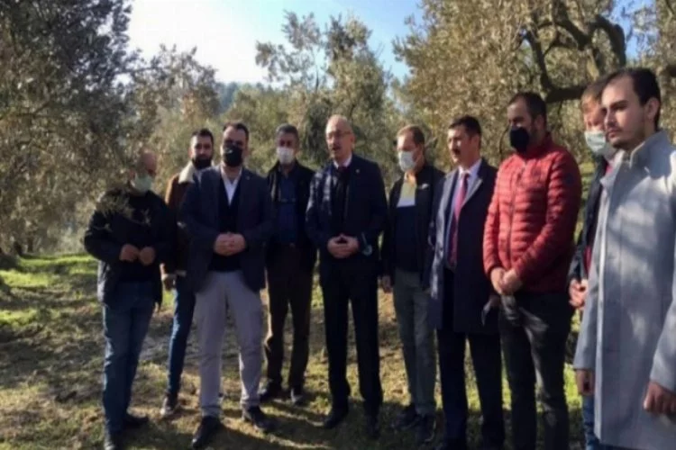 İYİ Partili Tatlıoğlu, Bursa'da ağaçlarında zarar oluşan zeytin üreticileriyle buluştu