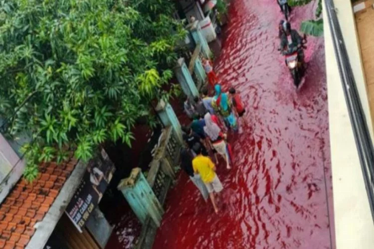 Endonezya'da sokaklar kırmızıya büründü