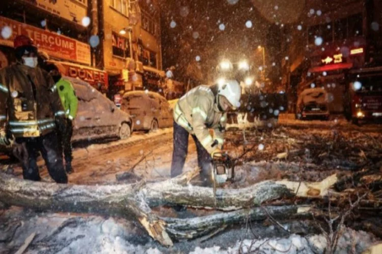 İstanbul'da bazı bölgelerde ağaçlar devrildi