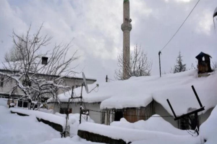 115 köy yolu, kardan kapandı