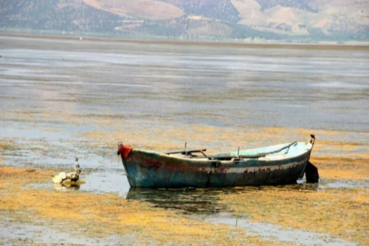 "Kuş cenneti Marmara Gölü yok oluyor"