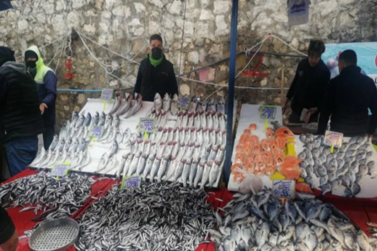Bursa'da balık fiyatlarını soğuk vurdu!