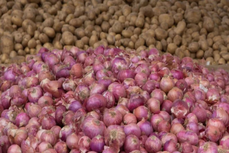 Salgın döneminde patates ve kuru soğanın üretimi arttı