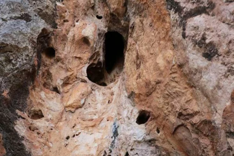 Çobanların bulduğu mağara koruma altına alındı