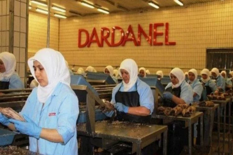 Dardanel'den 'eldiven' açıklaması!